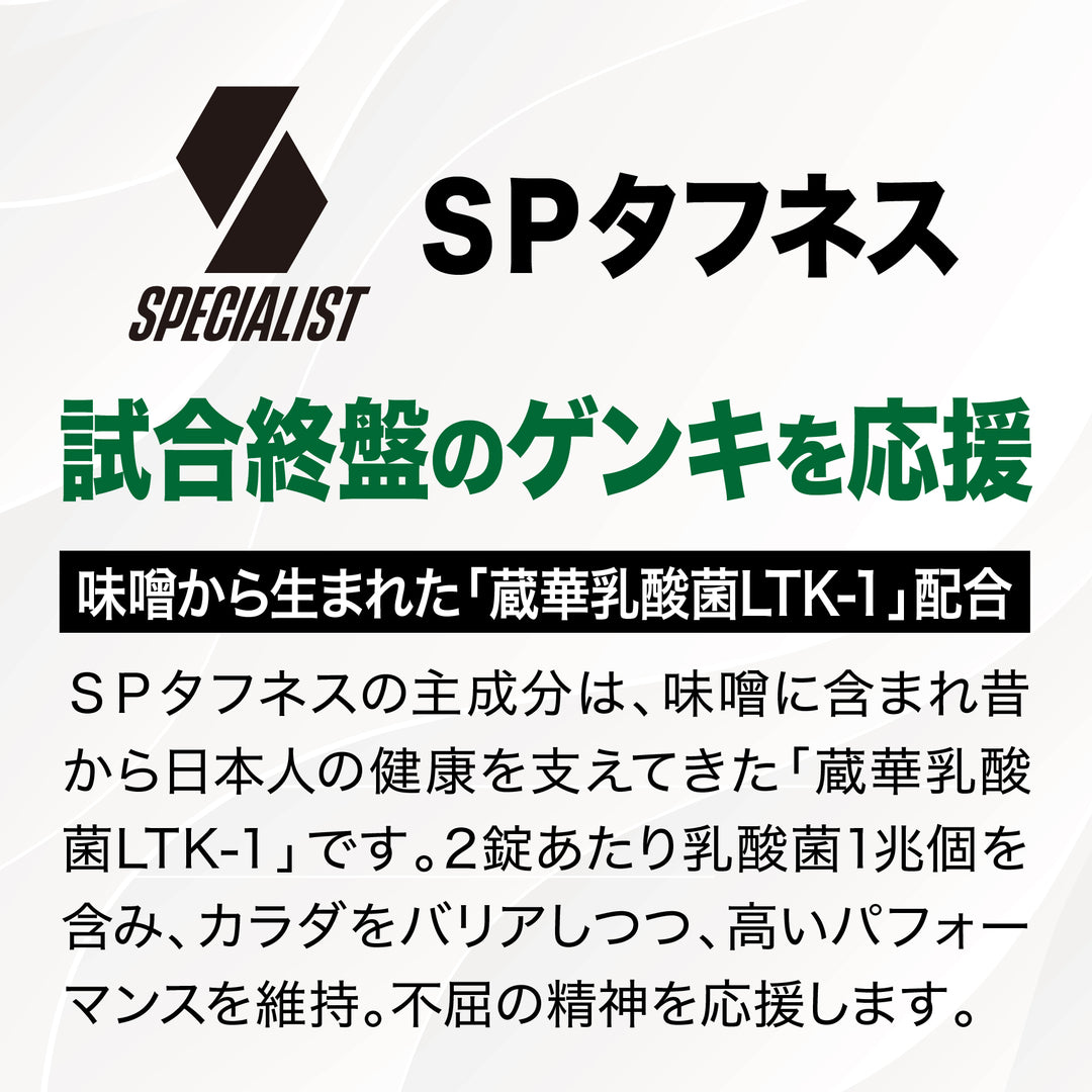 SPタフネス