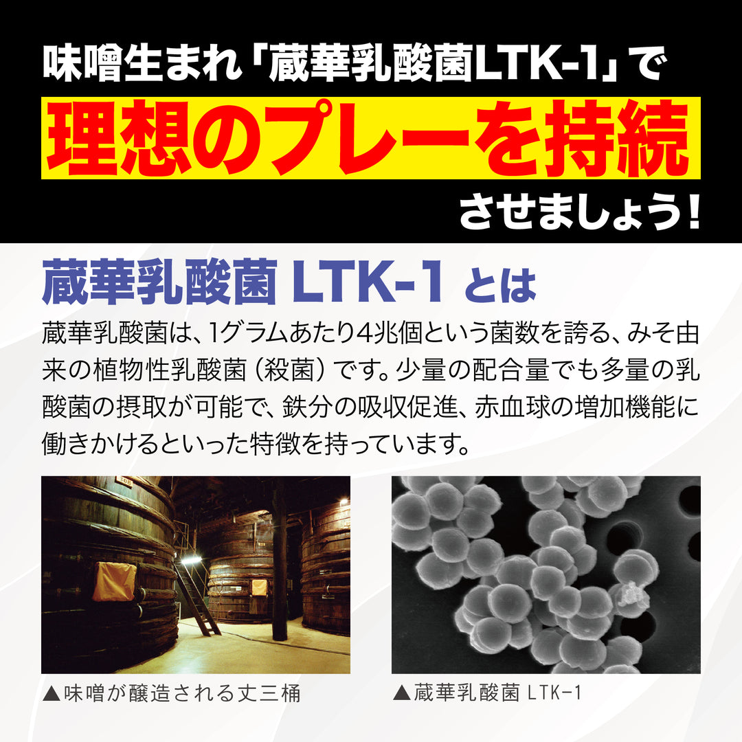 SPタフネス