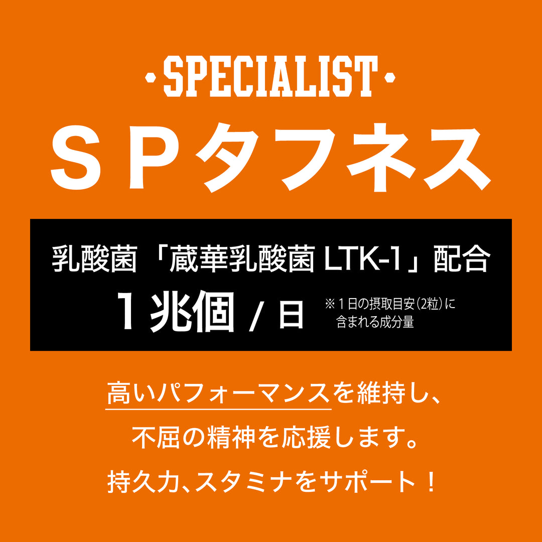 【10月12日発売】ＳＰタフネス