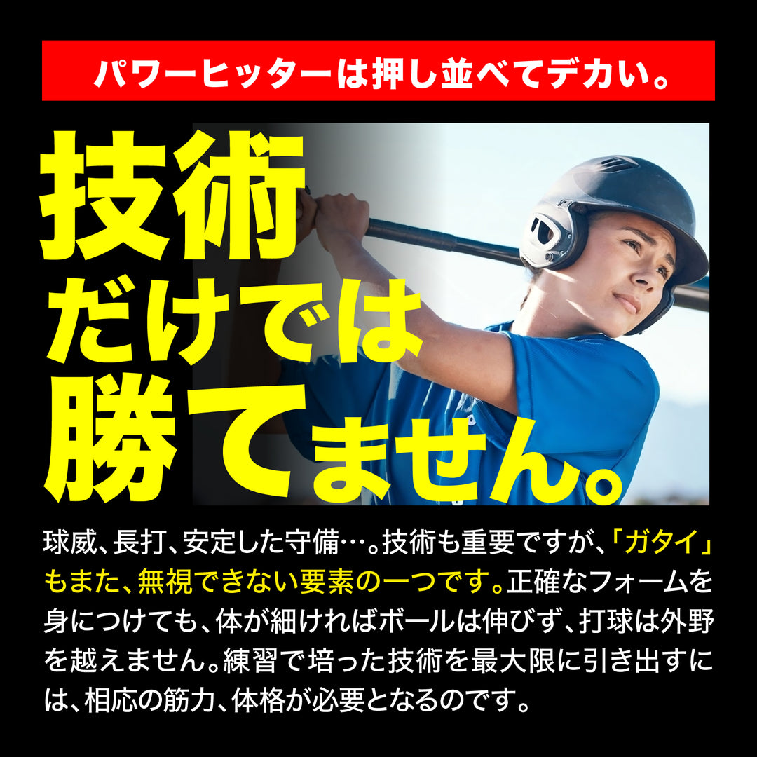 SPプロテイン