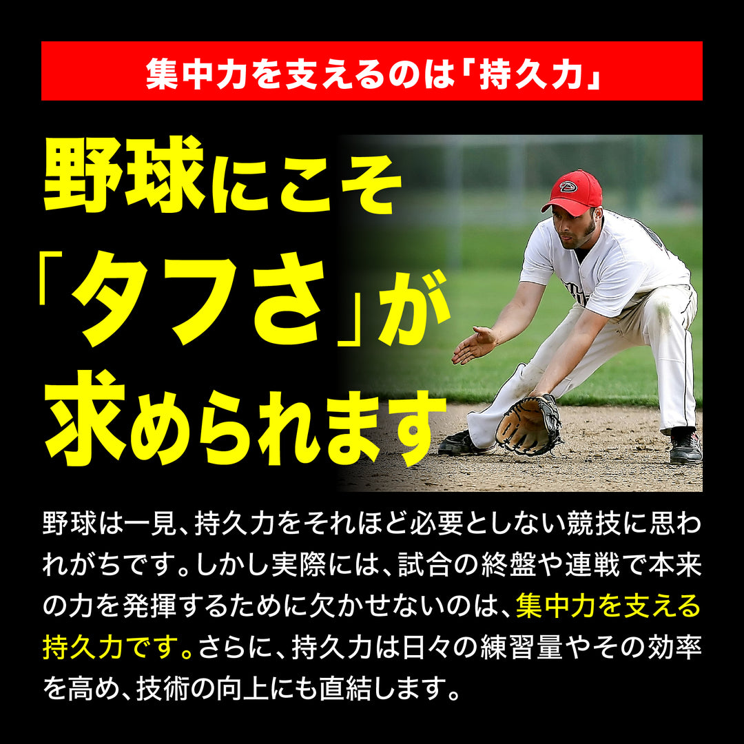SPタフネス
