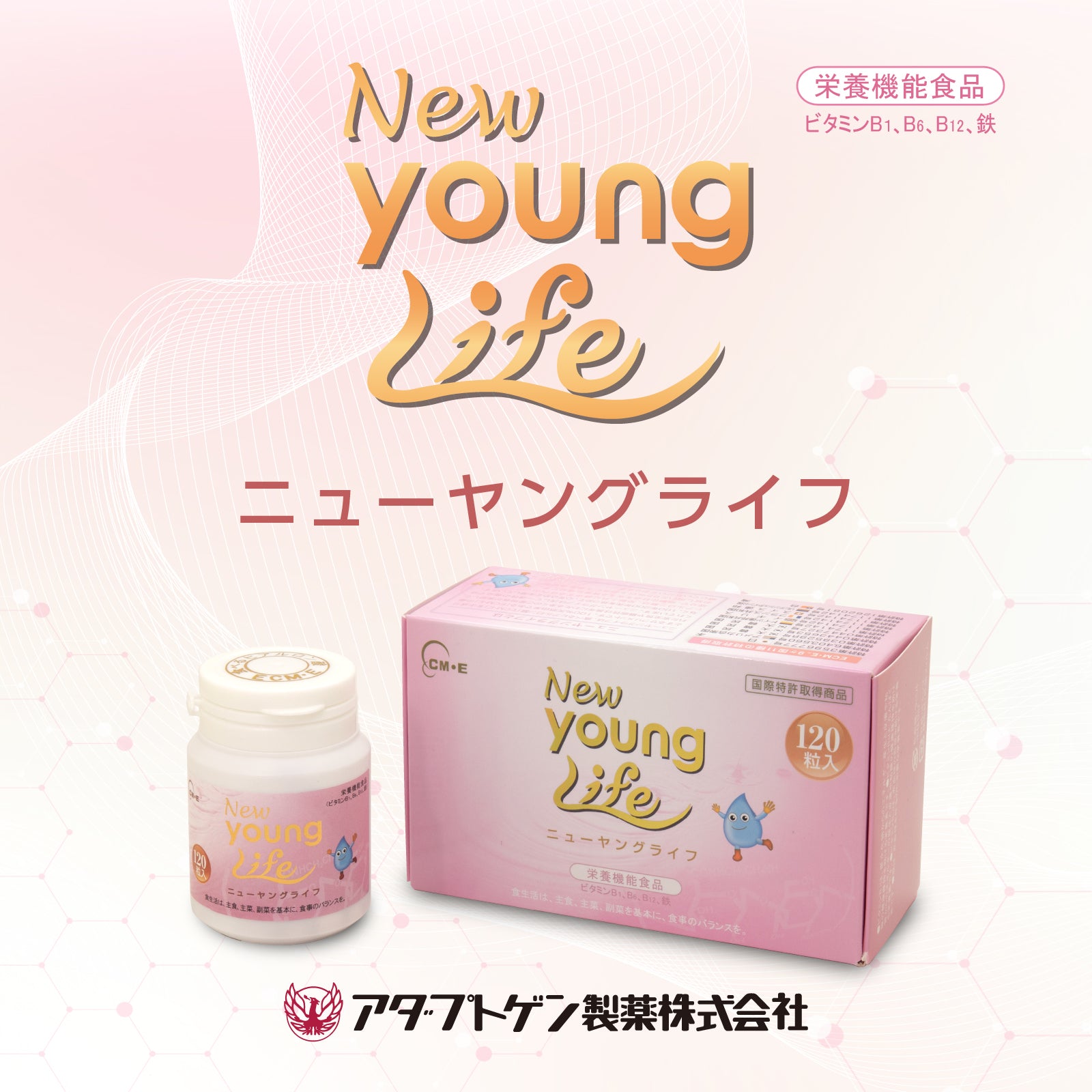 【送料無料】アダプトゲン製薬 ヤングライフＺ (マンゴーリキュール） 楽天市場】【ふるさと納税】ヤングライフZ 500ml×1本 瑞浪市