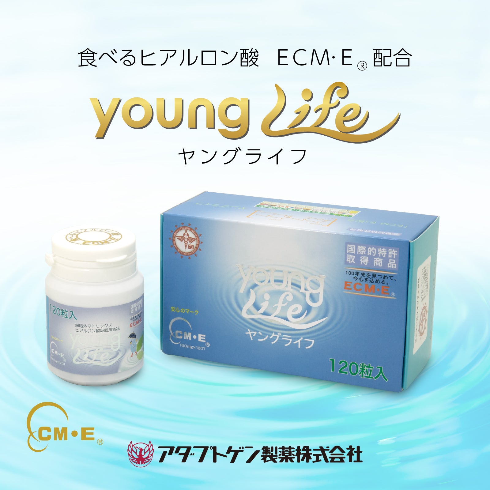 ダイヤモンドライフCulinary UV cream　 2個セット COE】コスミカルウォーム[01612S14250] | STYLEM FABRIC STORE